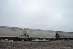 UP 103753
